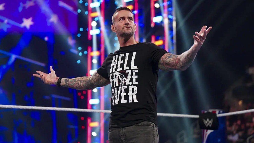 WWE Superstar CM Punk