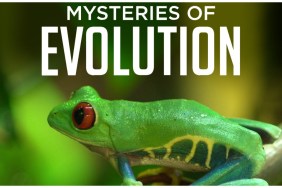 Mysteries of Evolution