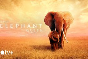 The Elephant Queen (2019)