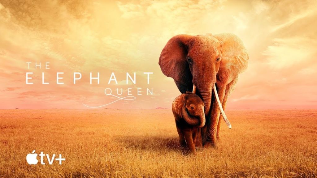 The Elephant Queen (2019)