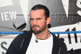 WWE Superstar CM Punk