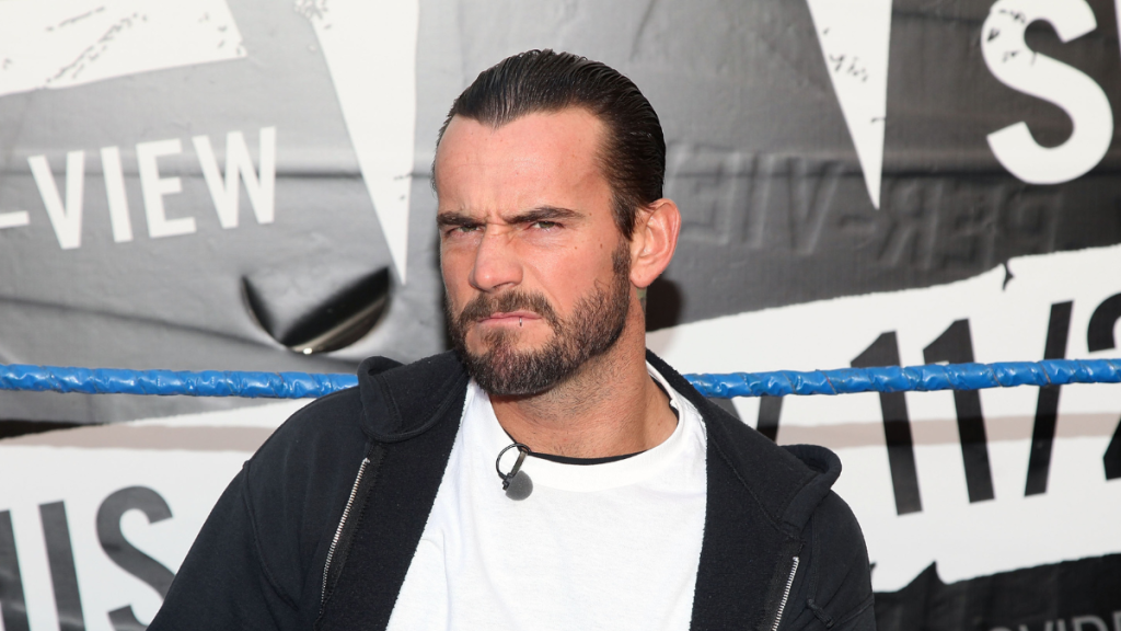 WWE Superstar CM Punk