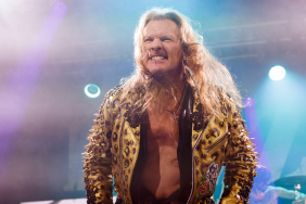 AEW Star Chris Jericho