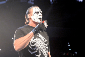 AEW Star Sting