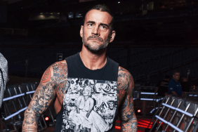 WWE Superstar CM Punk