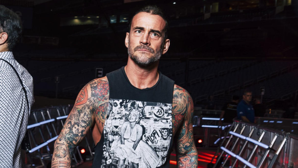 WWE Superstar CM Punk