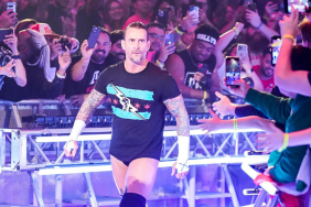 WWE Superstar CM Punk