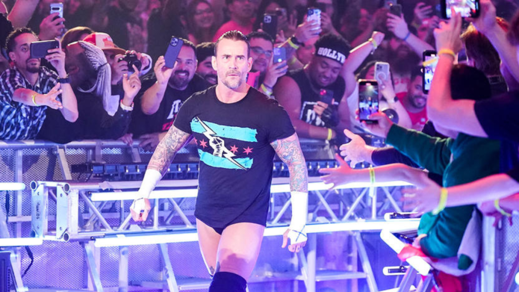 WWE Superstar CM Punk