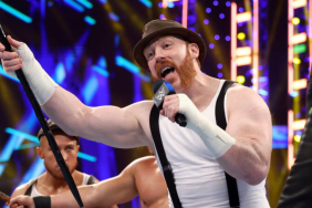 WWE Superstar Sheamus