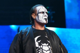 WWE Hall of Famer Sting