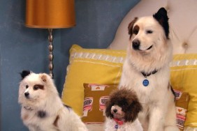 Dog with a Blog (2012) Season 3 Streaming: Watch & Stream Online via Disney Plus