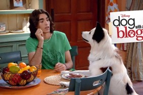 Dog with a Blog Season 2 Streaming: Watch & Stream Online via Disney Plus