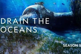 Drain the Oceans Season 5 Streaming: Watch and Stream Online via Disney Plus and Hulu