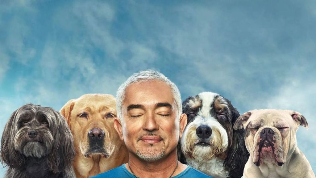 Cesar Millan: Better Human, Better Dog Season 1 Streaming: Watch & Stream Online via Disney Plus