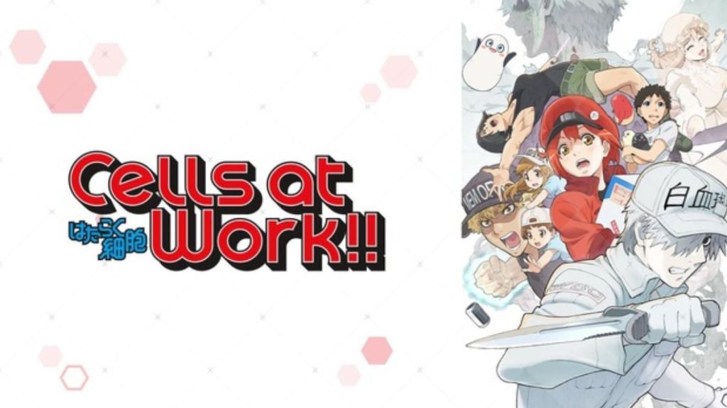 Cells at Work! Season 1 Streaming: Watch and Stream Online via Crunchyroll