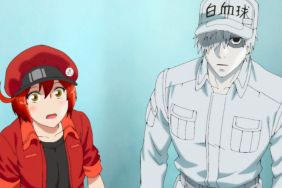 Cells at Work! Season 2 Streaming: Watch and Stream Online via Crunchyroll