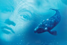 Whale Rider Streaming: Watch & Stream Online via Starz