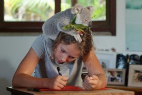 Izzy's Koala World Season 2 Streaming: Watch & Stream Online via Netflix