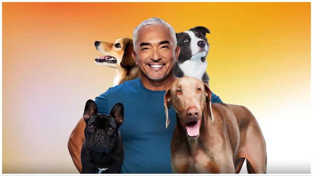 Cesar Millan: Better Human Better Dog Season 3 streaming