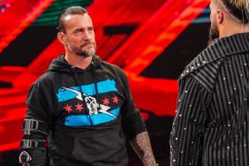 WWE Superstar CM Punk