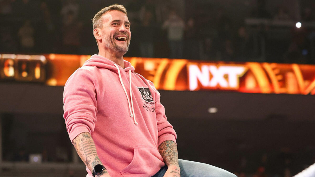 WWE Superstar CM Punk