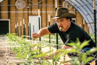 Growing Belushi (2020) Season 3 Streaming