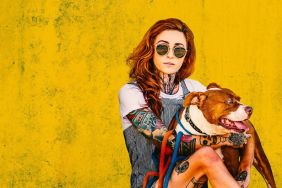 Pit Bulls & Parolees Season 2 Streaming: Watch & Stream Online via HBO Max