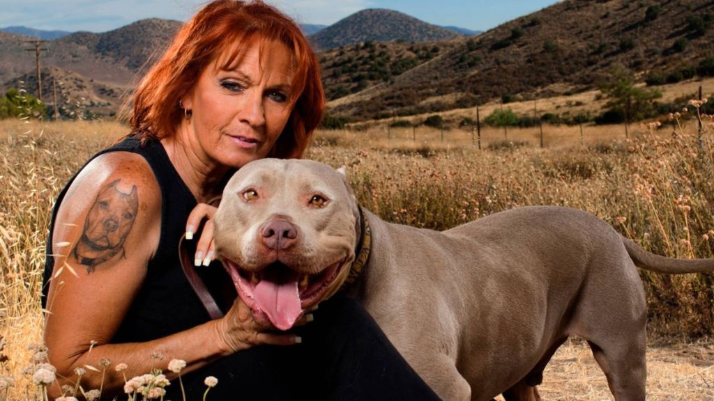 Pit Bulls & Parolees Season 3 Streaming: Watch & Stream Online via HBO Max