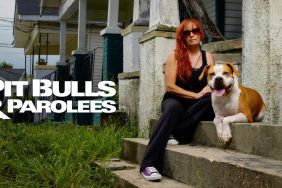 Pit Bulls & Parolees Season 10 Streaming