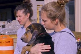 Pit Bulls & Parolees Season 19 Streaming