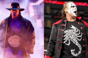 The Undertaker and Sting