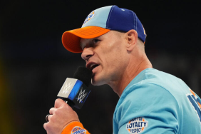 WWE Superstar John Cena