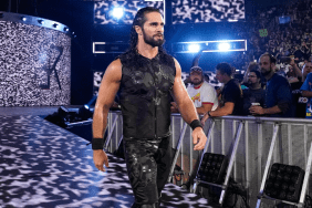 WWE Superstar Seth Rollins