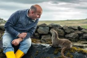 Billy & Molly: An Otter Love Story Streaming Release Date: When Is It Coming Out on Disney Plus and Hulu?