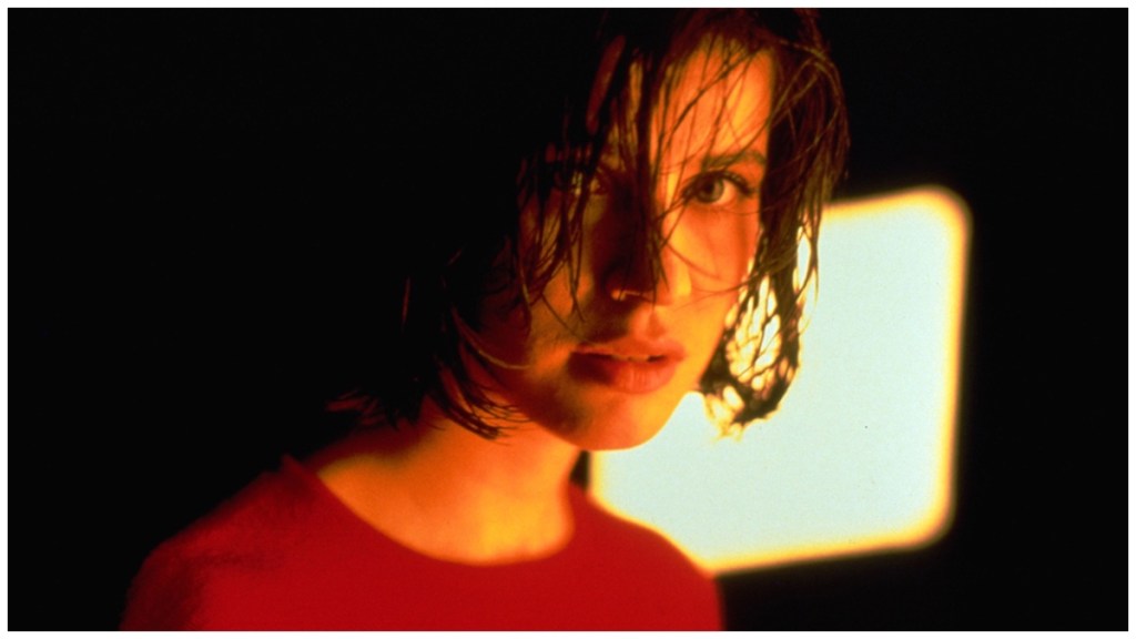 Three Colors: Red (1994) Streaming