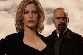 Anna Gunn Skyler White