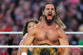 WWE Superstar Seth Rollins