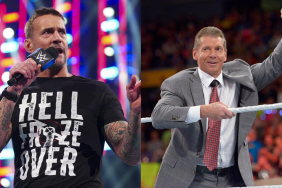 CM Punk and Vince McMahon