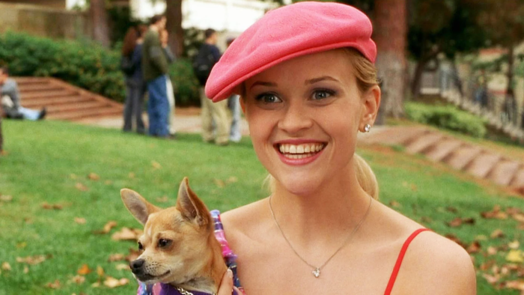 Legally Blonde Spin-off Series in Development at Amazon MGM