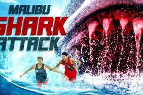 Malibu Shark Attack (2009) Streaming: Watch & Stream Online via Amazon Prime Video