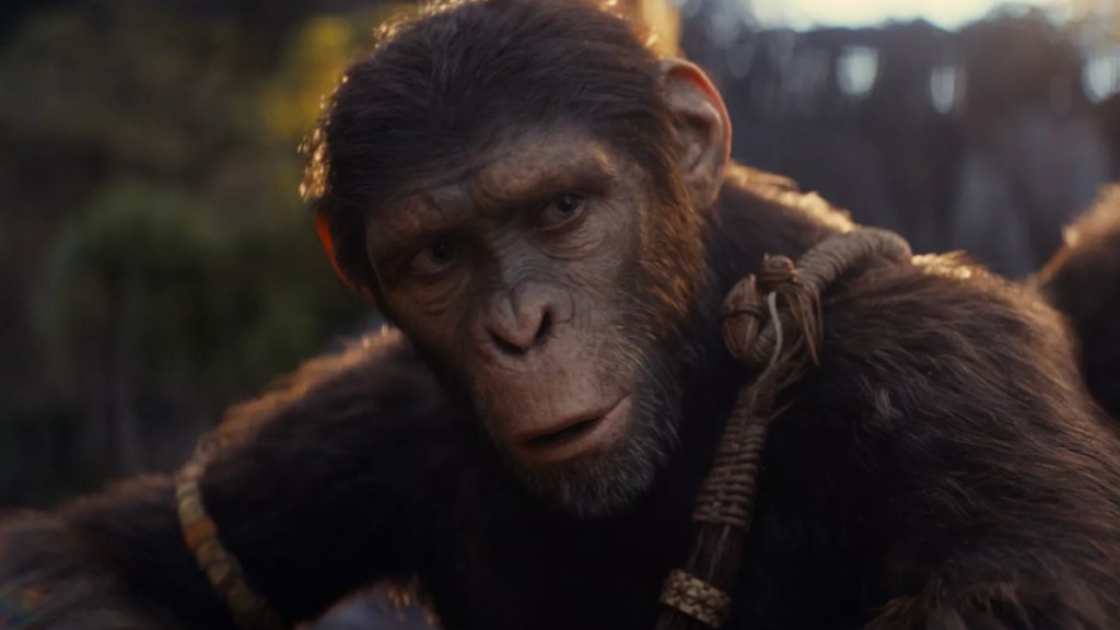 Kingdom of the Planet of the Apes: Is Noa Related to Caesar or Cornelius?