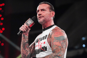 WWE Superstar CM Punk