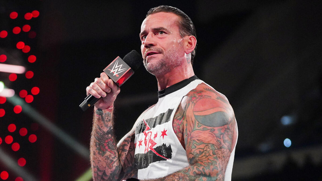 WWE Superstar CM Punk