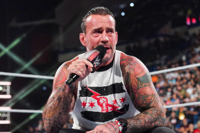 WWE Superstar CM Punk