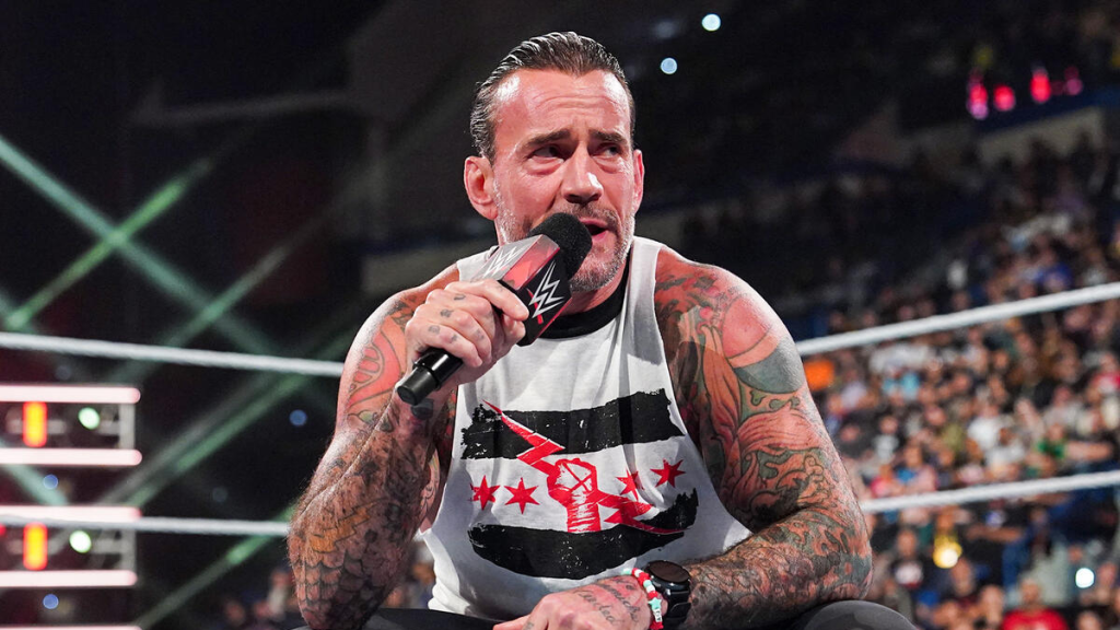 WWE Superstar CM Punk