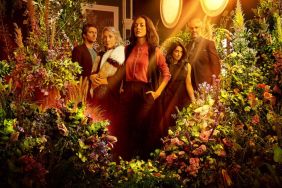 The House of Flowers Season 2 Streaming: Watch & Stream Online via Netflix