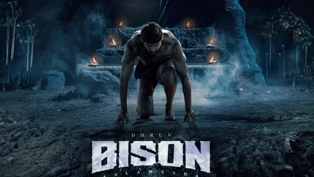 Bison