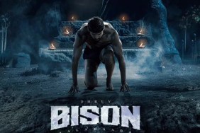 Bison