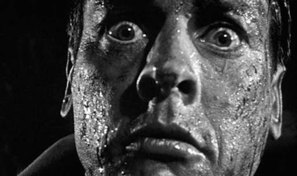 invasion of the body snatchers 4k