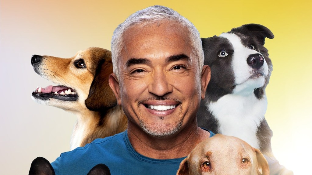 Cesar Millan: Better Human, Better Dog Season 4 Streaming: Watch & Stream Online via Hulu & Disney Plus